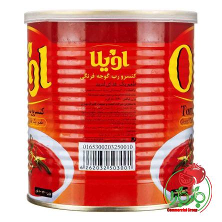 رب گوجه فرنگی