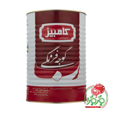 رب گوجه فرنگی