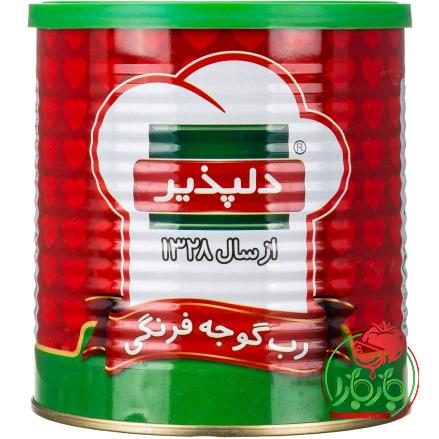 رب گوجه فرنگی دلپذیر + بهترین قیمت خرید